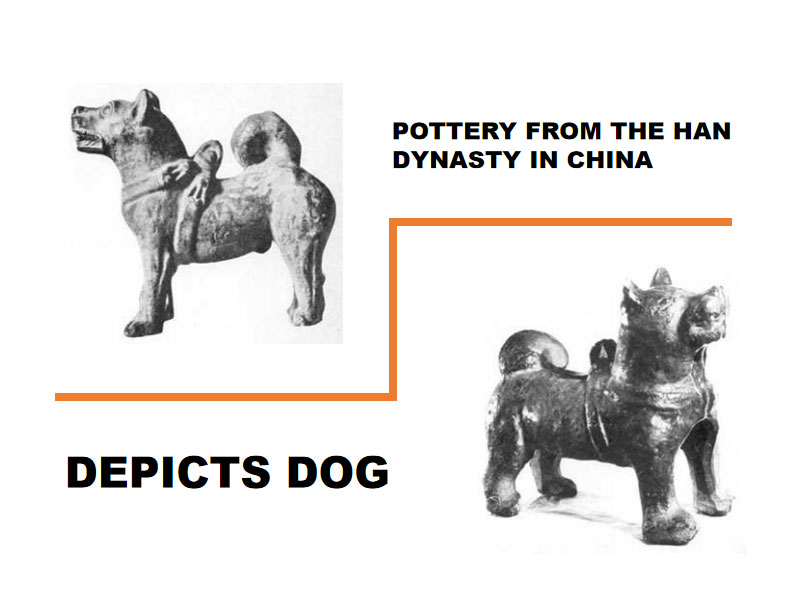 depicts dog in china history